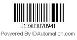013803070941