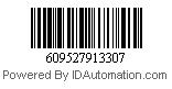 609527913307