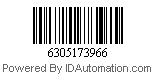 6305173966