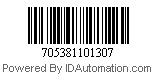 705381101307